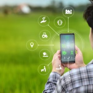 Tecnología vía telefonía móvil aplicada en agricultura