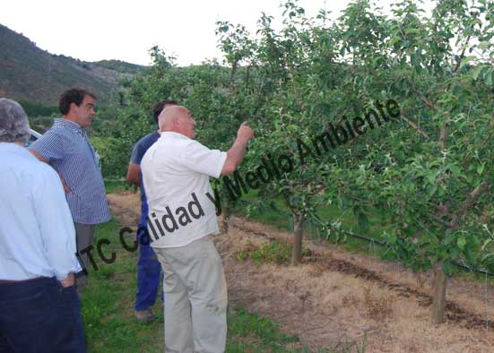 Trabajo de campo tras el contacto y el estudio del caso, para la ejecución adecuada de los programas de trabajo para la mejora de la producción en frutales